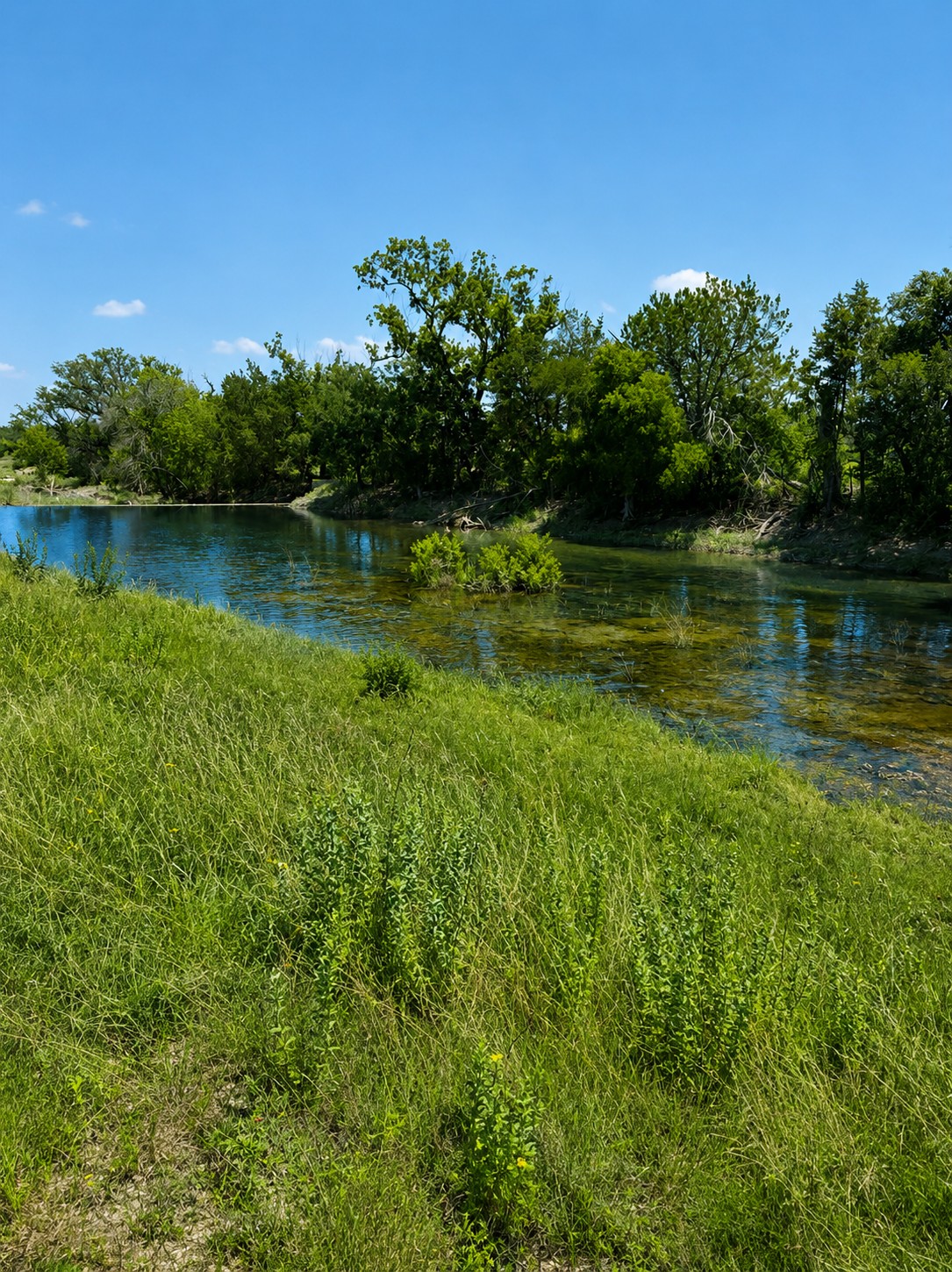0 Creekside Ranch Johnson City, TX 78636 - Photo 3 of 14 Clear waters bordered by vibrant green banks and mature trees create a serene natural setting.