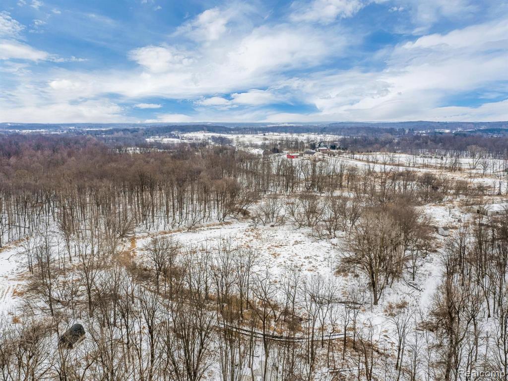 18290 Lehman Road Manchester, MI 48158 - Photo 15 of 21
