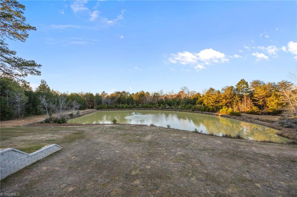 1750 Allen Jarrett Drive Mebane, NC 27302 - Photo 42 of 50