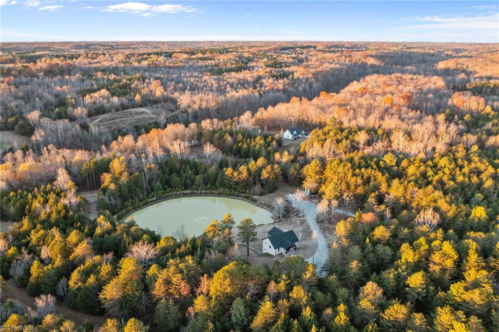 1750 Allen Jarrett Drive Mebane, NC 27302 - Photo 47 of 50