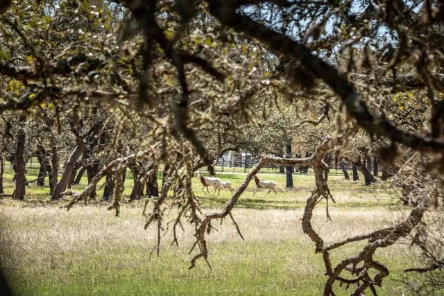 $13,000,000 | 480-acres 480-acres Hwy-474, Boerne, TX 78006