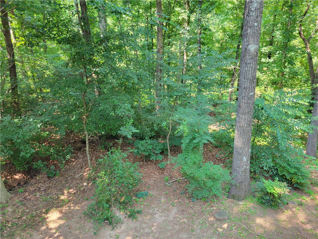2000 Ridgeview Lane Seneca, SC 29678 - Photo 24 of 30
