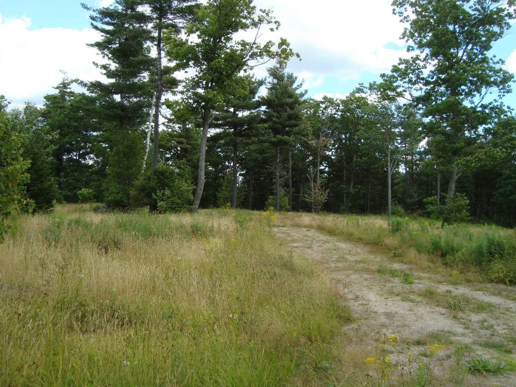Ridge Road Sunapee, NH 03782 - Photo 1 of 1