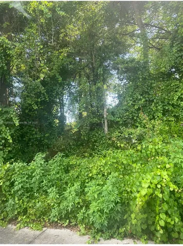 a view of a lush green forest
