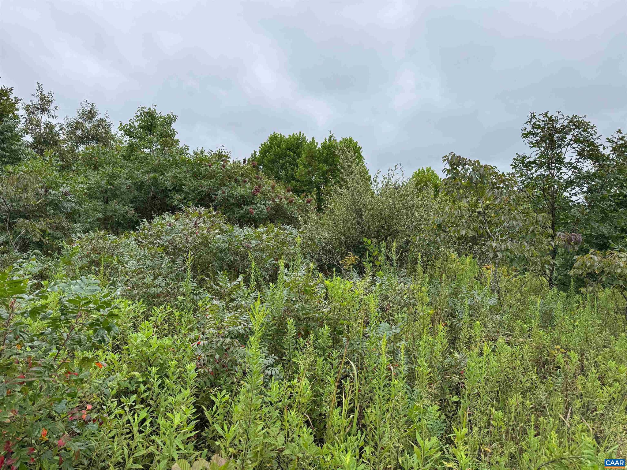 Tba Old Green Mountain Road, Unit 500 Esmont, VA 22937 - Photo 20 of 33
