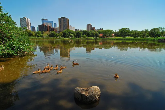 $1,895 | 111 East Franklin Avenue, Unit 307, Minneapolis, MN 55404