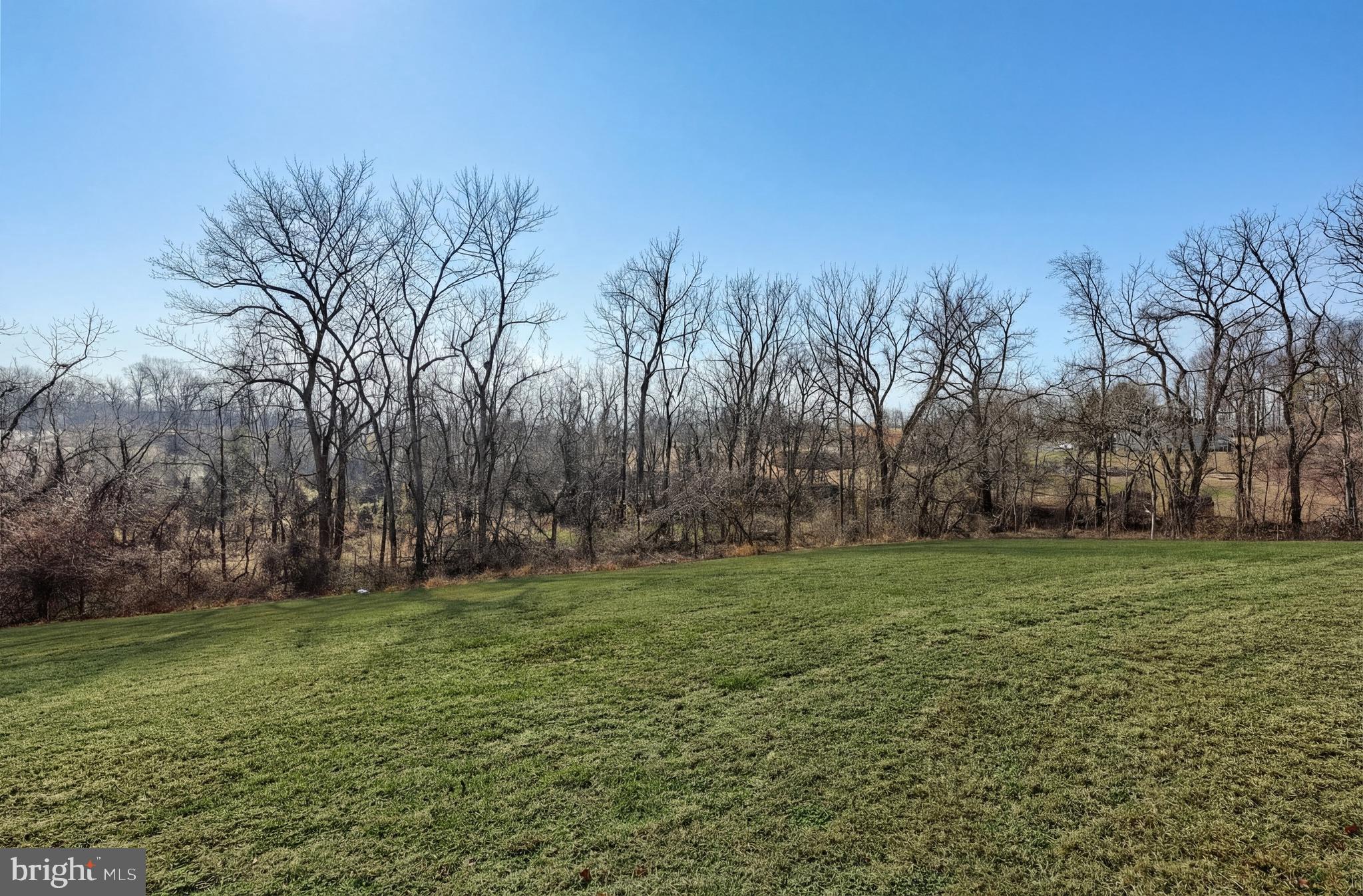 90 Vida Lane Dover, PA 17315 - Photo 44 of 59 a big yard with lots of green space and trees