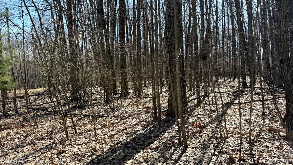 304 Balsam Road Roscommon, MI 48653 - Photo 29 of 31