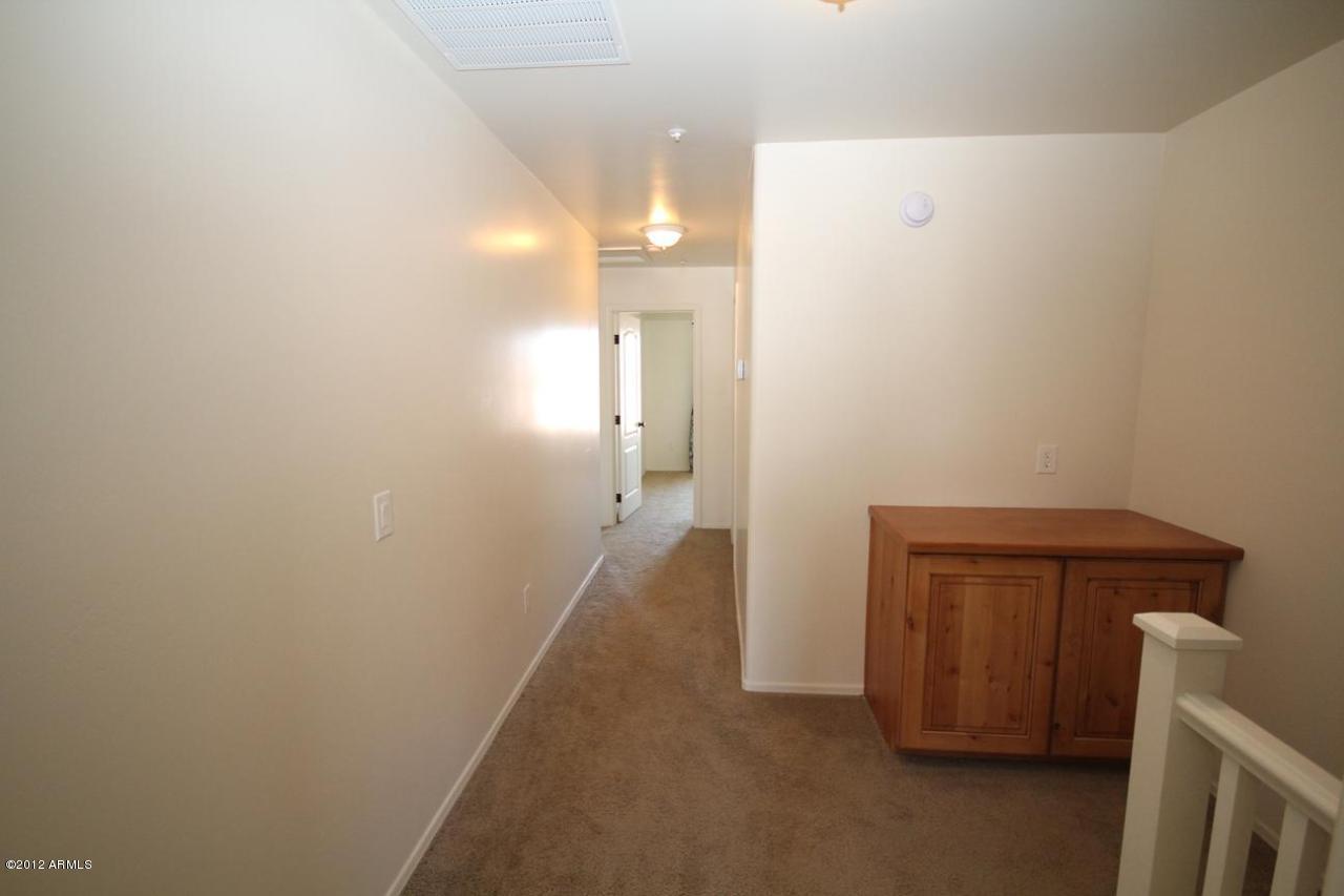 3636 East Edna Drive Gilbert, AZ 85296 - Photo 40 of 51 IMG_5890