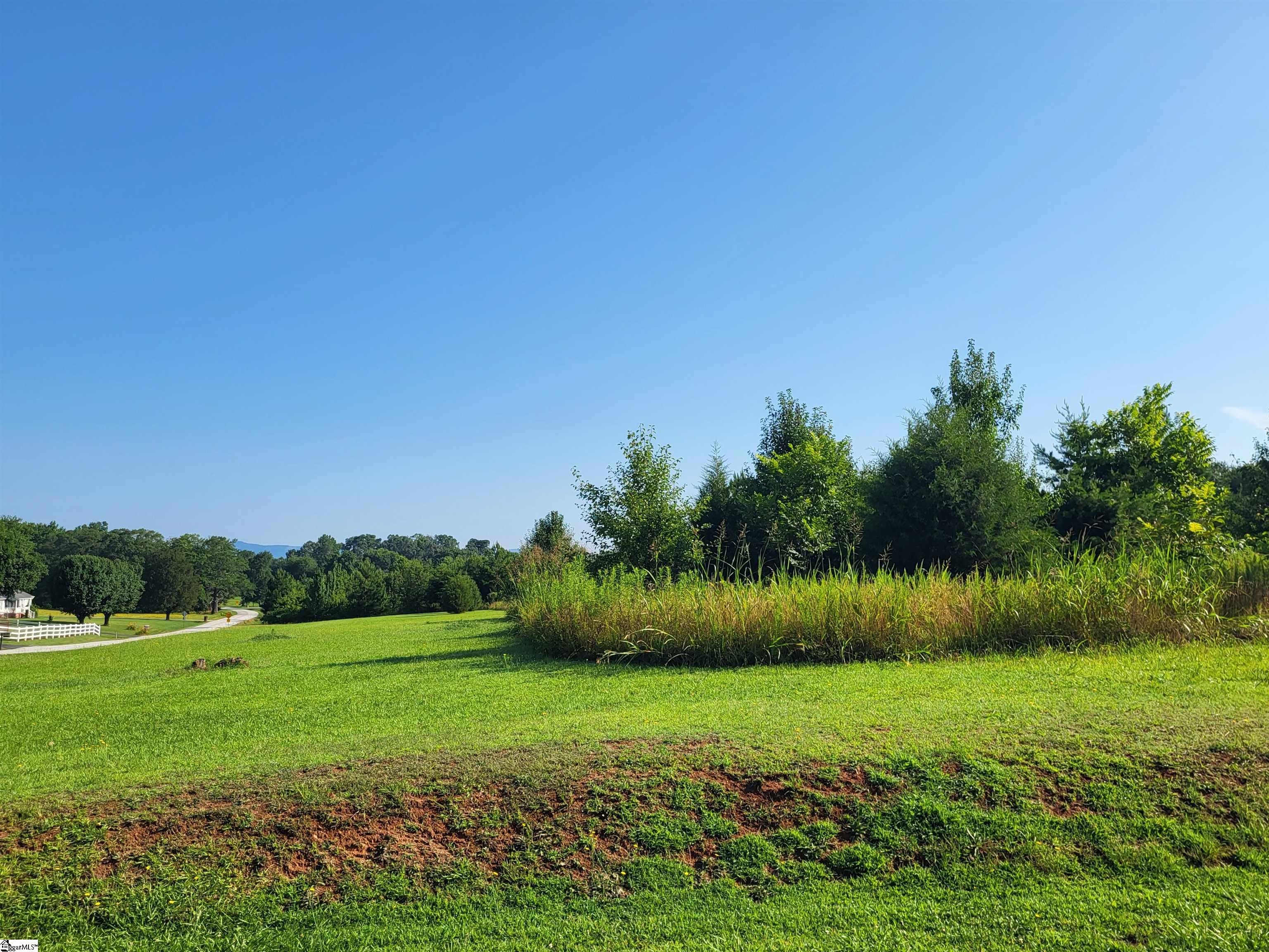 0 South McElhaney Road Greer, SC 29651 - Photo 5 of 11 Gallery Image 5