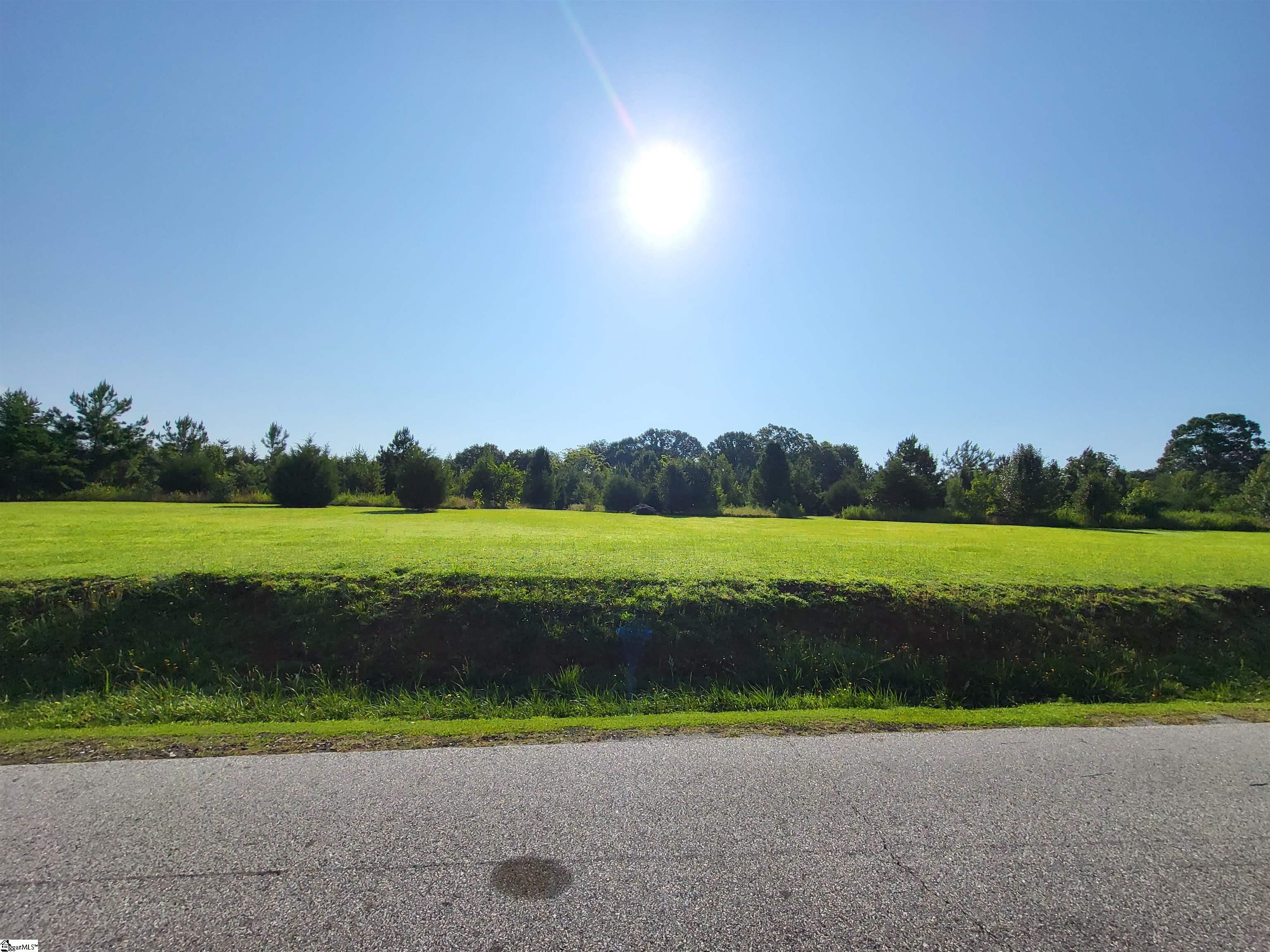 0 South McElhaney Road Greer, SC 29651 - Photo 7 of 11 Gallery Image 7