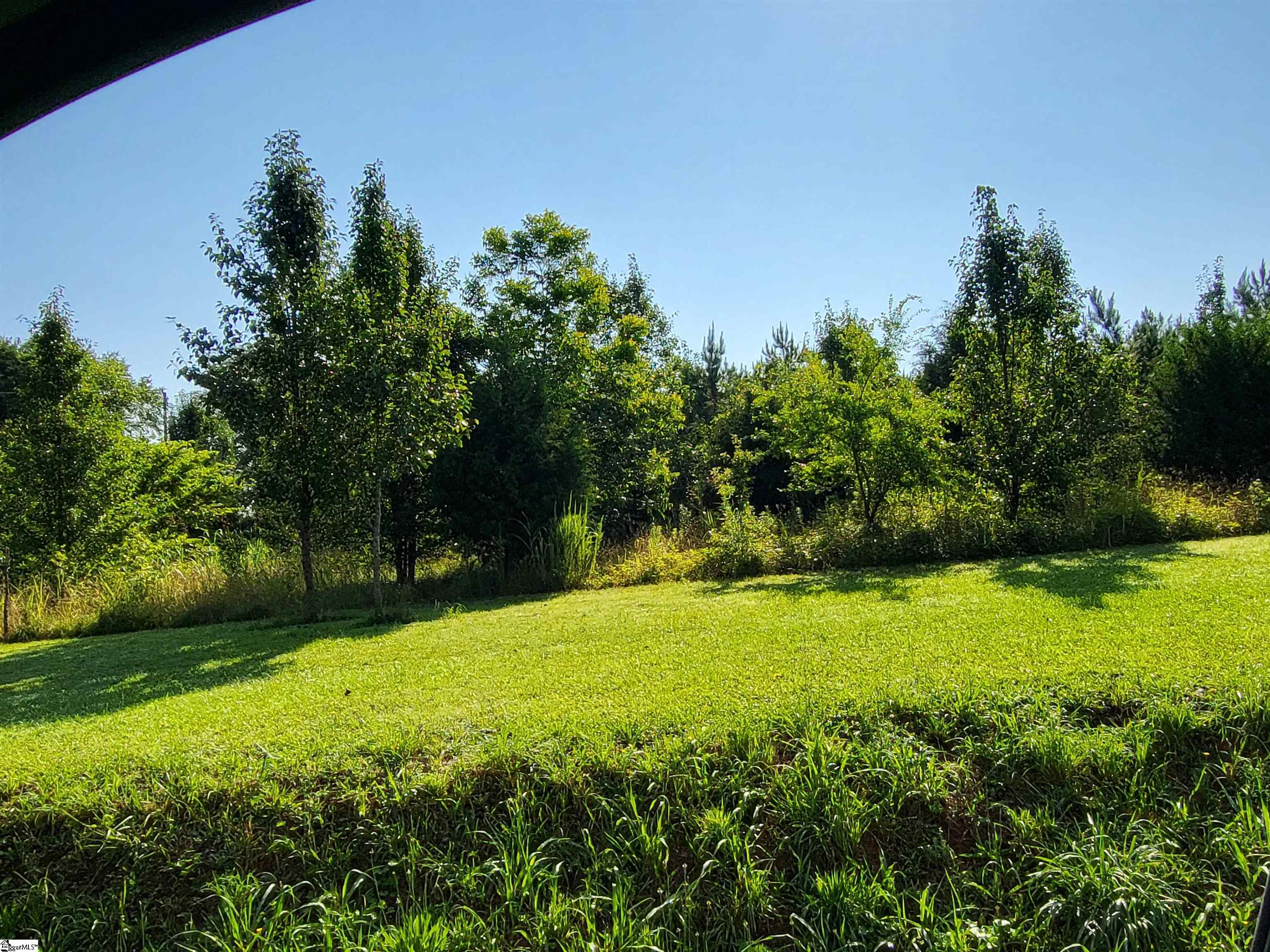 0 South McElhaney Road Greer, SC 29651 - Photo 10 of 11 Gallery Image 10