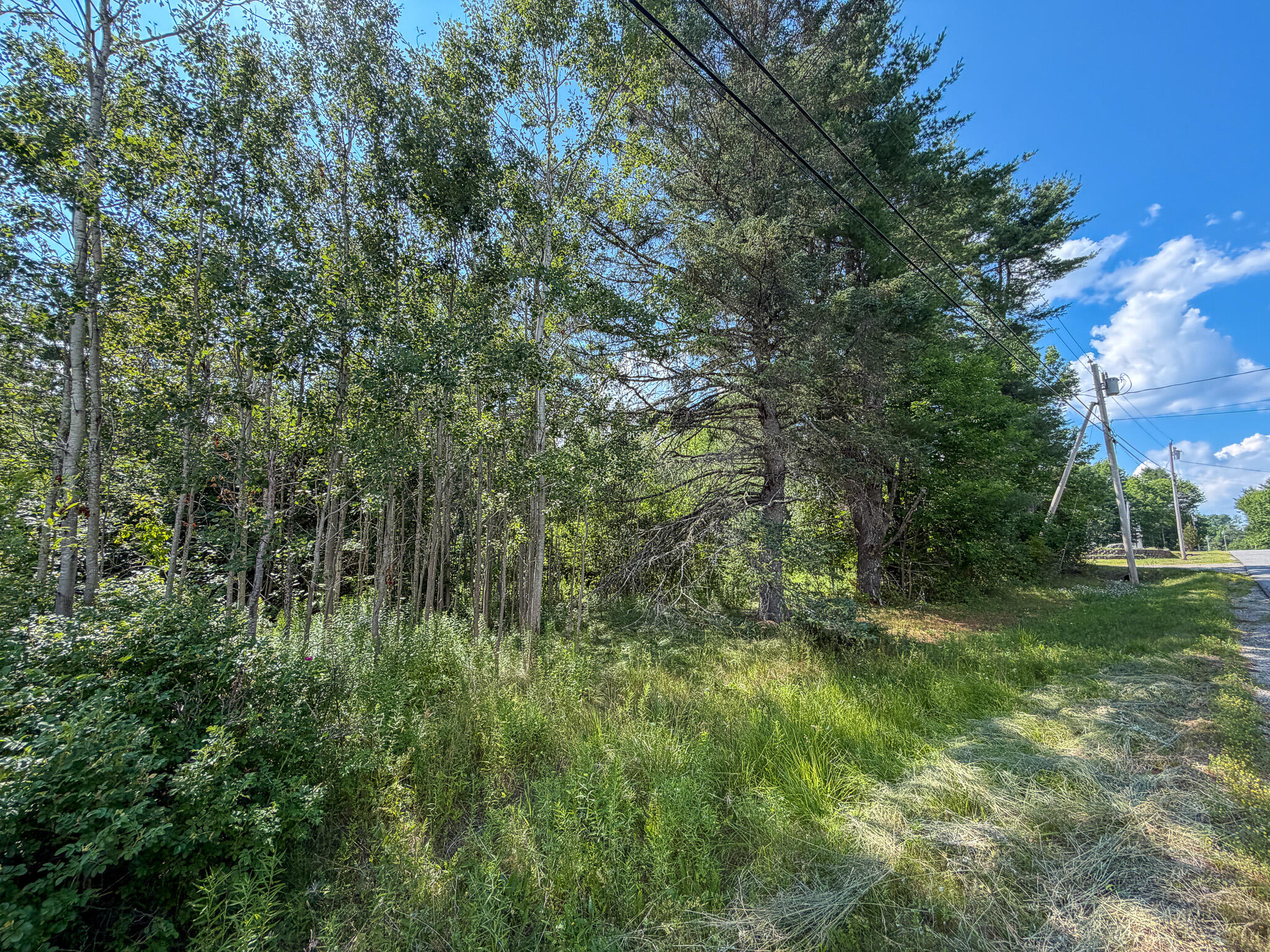 524 Millvale Road Bucksport, ME 04416 - Photo 2 of 8 IMG_6191