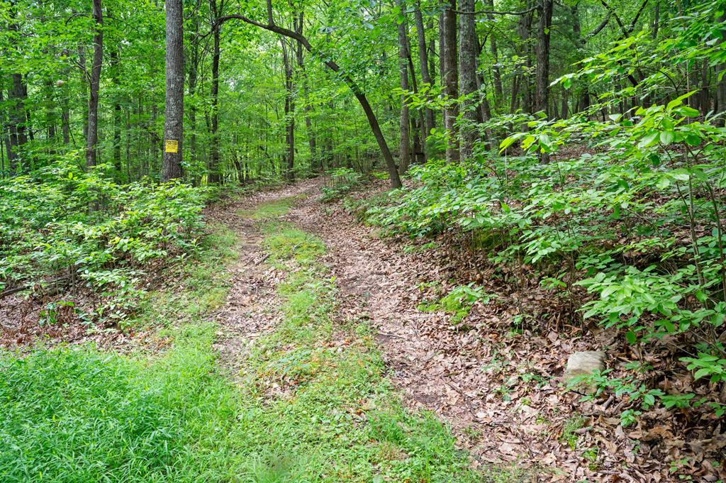 Lot G Springdale Road, Unit G Pearisburg, VA 24134 - Photo 10 of 62 Gallery Image 10