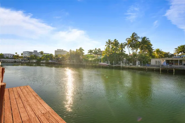 a view of a lake with a large trees