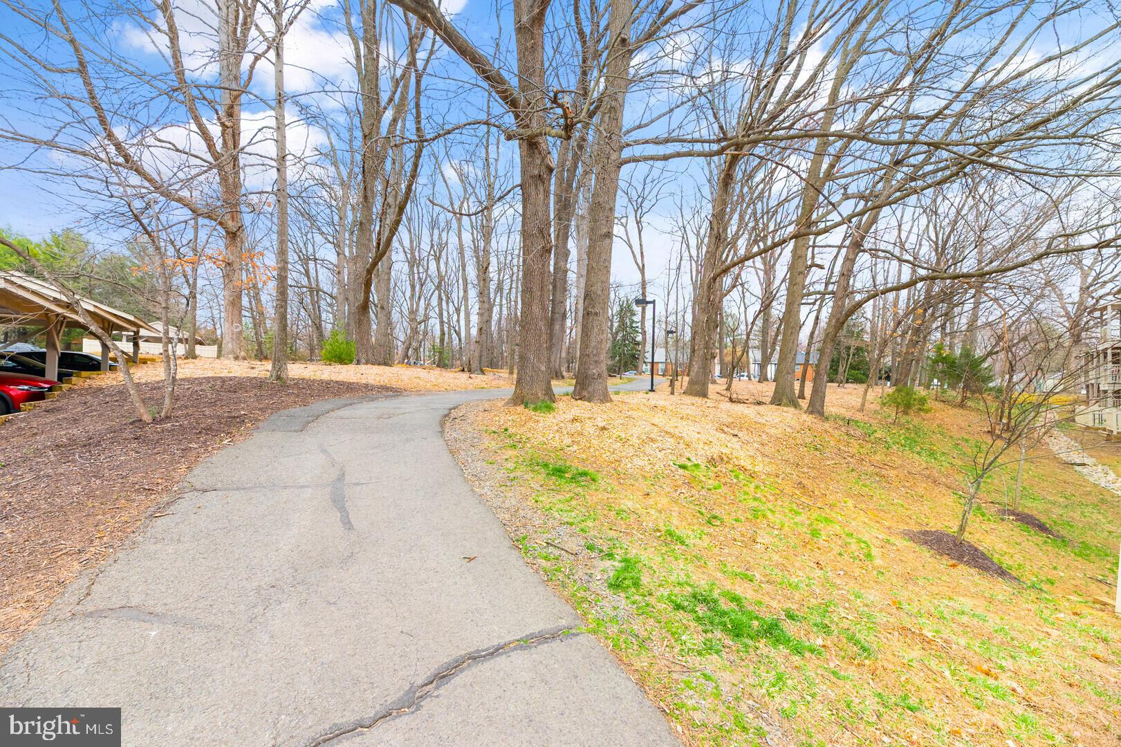 1705 Ascot Way, Unit B Reston, VA 20190 - Photo 21 of 24 Walking Trails