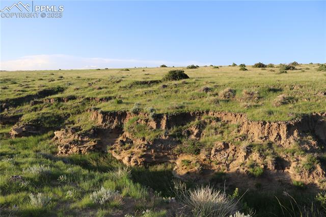 2775 Meridian Road Peyton, CO 80831 - Photo 3 of 13 Ravine with meadow to the east, lots of homesites