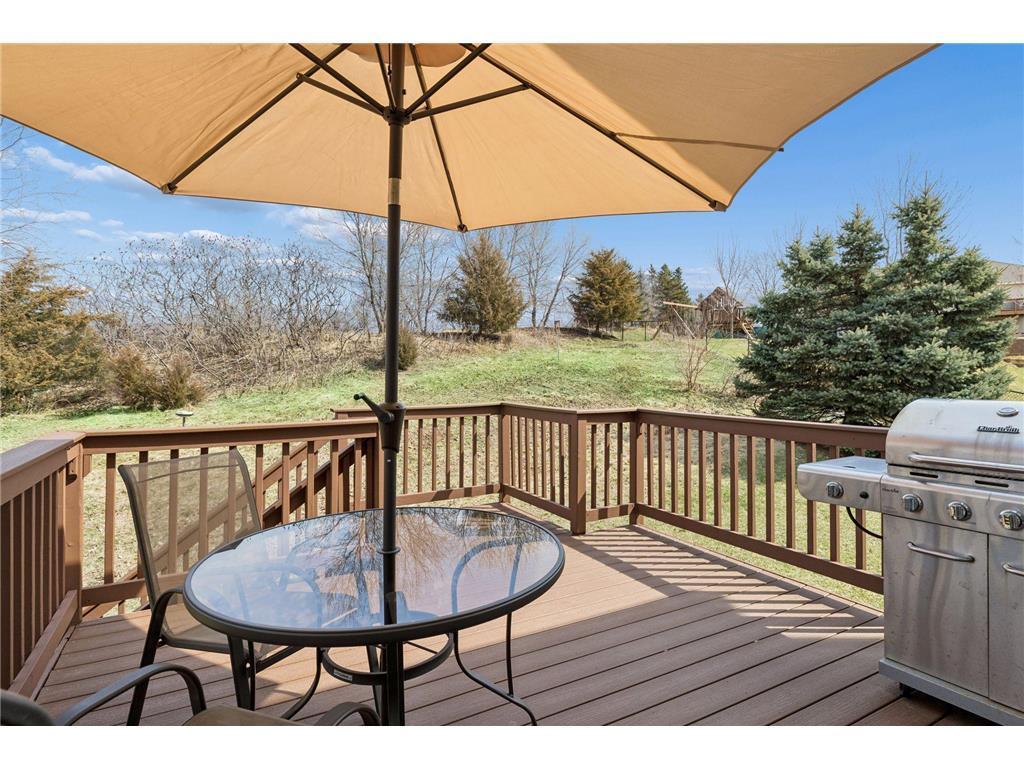 49 Windsor Wood Path Hudson, WI 54016 - Photo 32 of 38