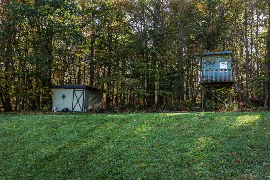 1594 Thurber Road Caton, NY 14830 - Photo 43 of 49