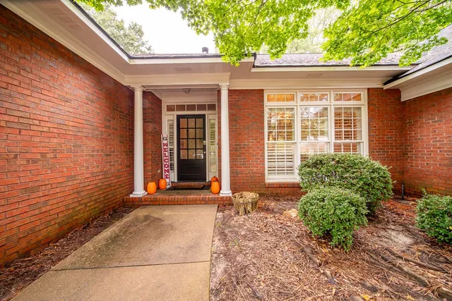 a view of a yard with plants and trees