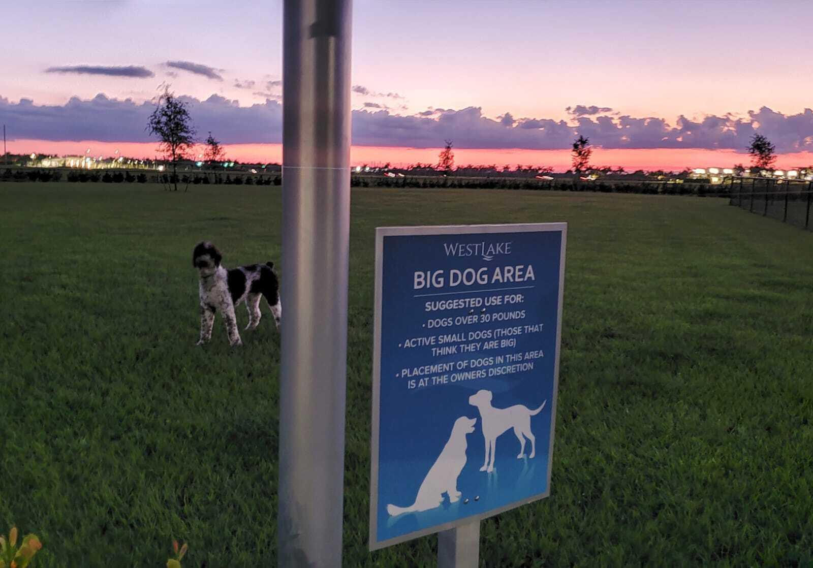 15894 Hummingbird Lane Westlake, FL 33470 - Photo 55 of 55 westlake dog park archie