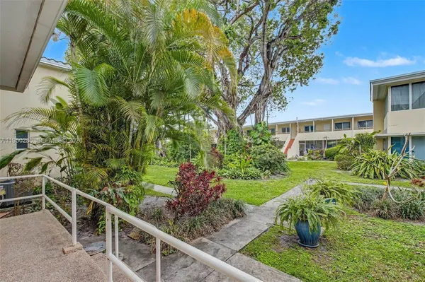 a view of a garden with plants and large trees
