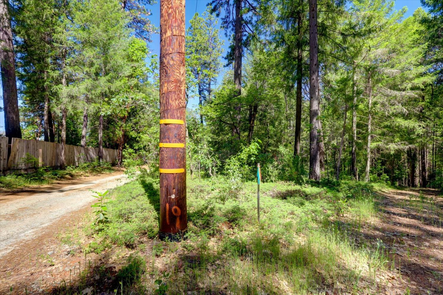 17390 Skyland Road Nevada City, CA 95959 - Photo 4 of 17
