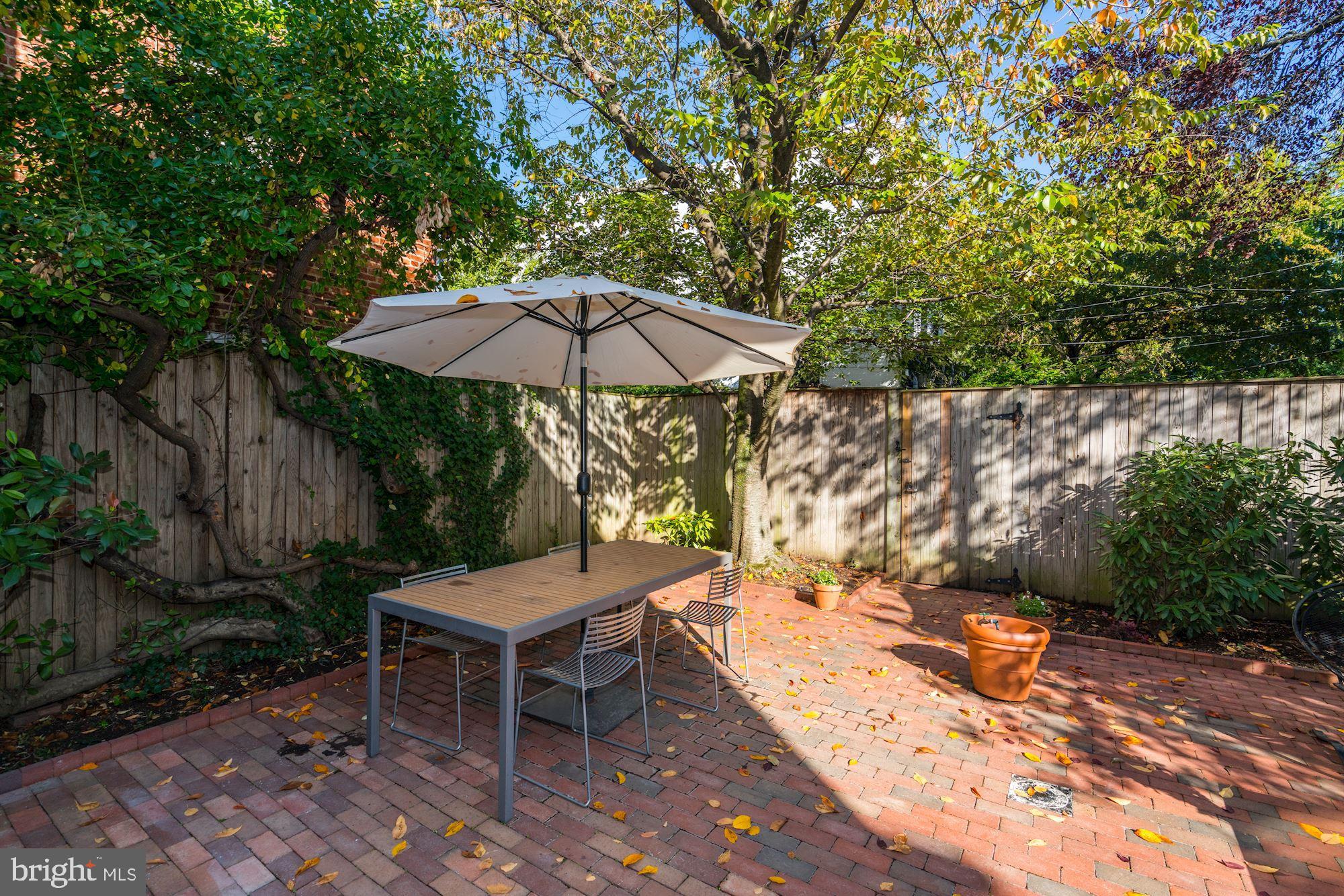 1355 28th Street Northwest Washington, DC 20007 - Photo 41 of 46 Rear Garden