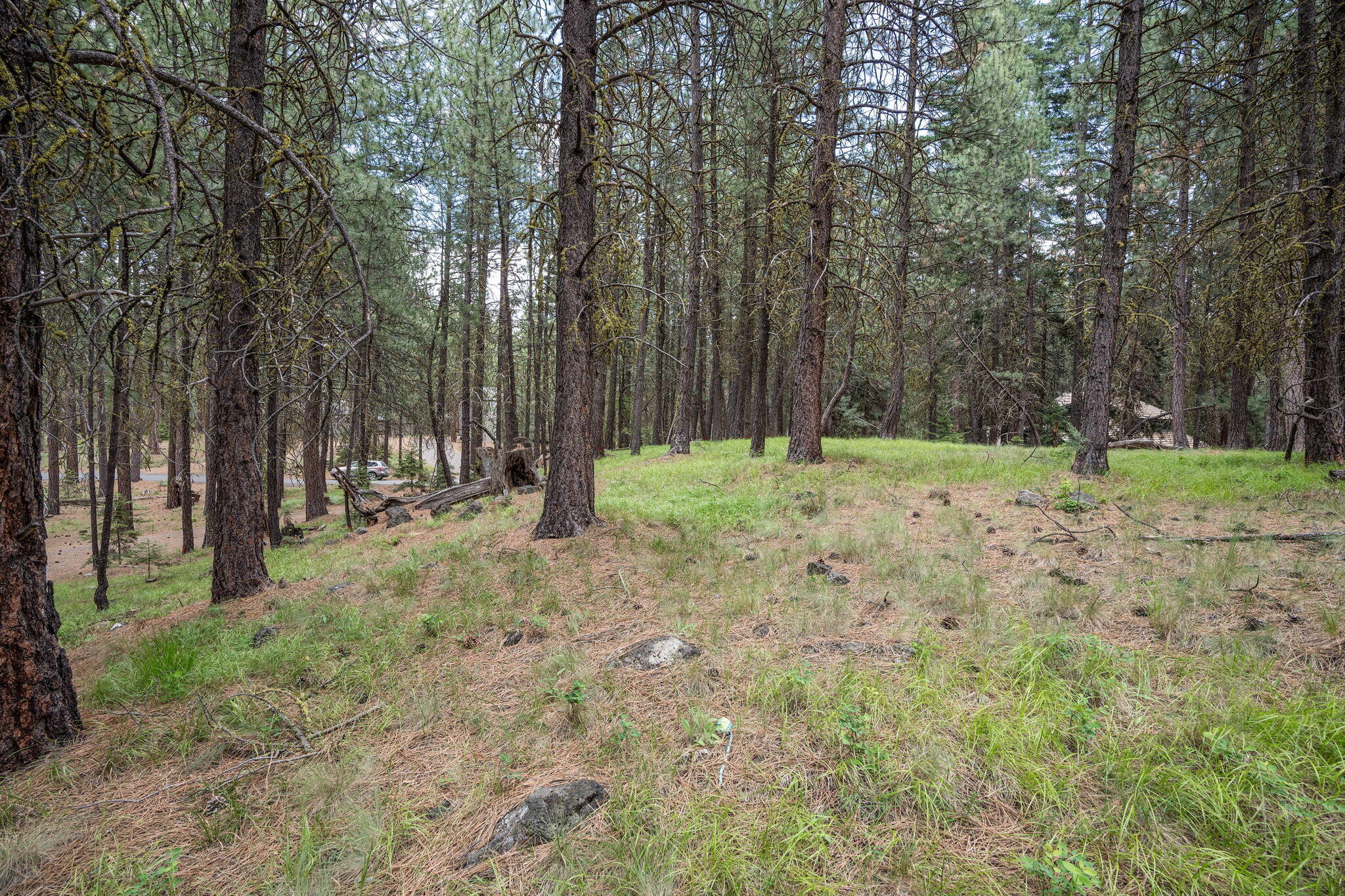 Undisclosed Address Black Butte Ranch, OR 97759 - Photo 13 of 24 a backyard of a house with lots of green space