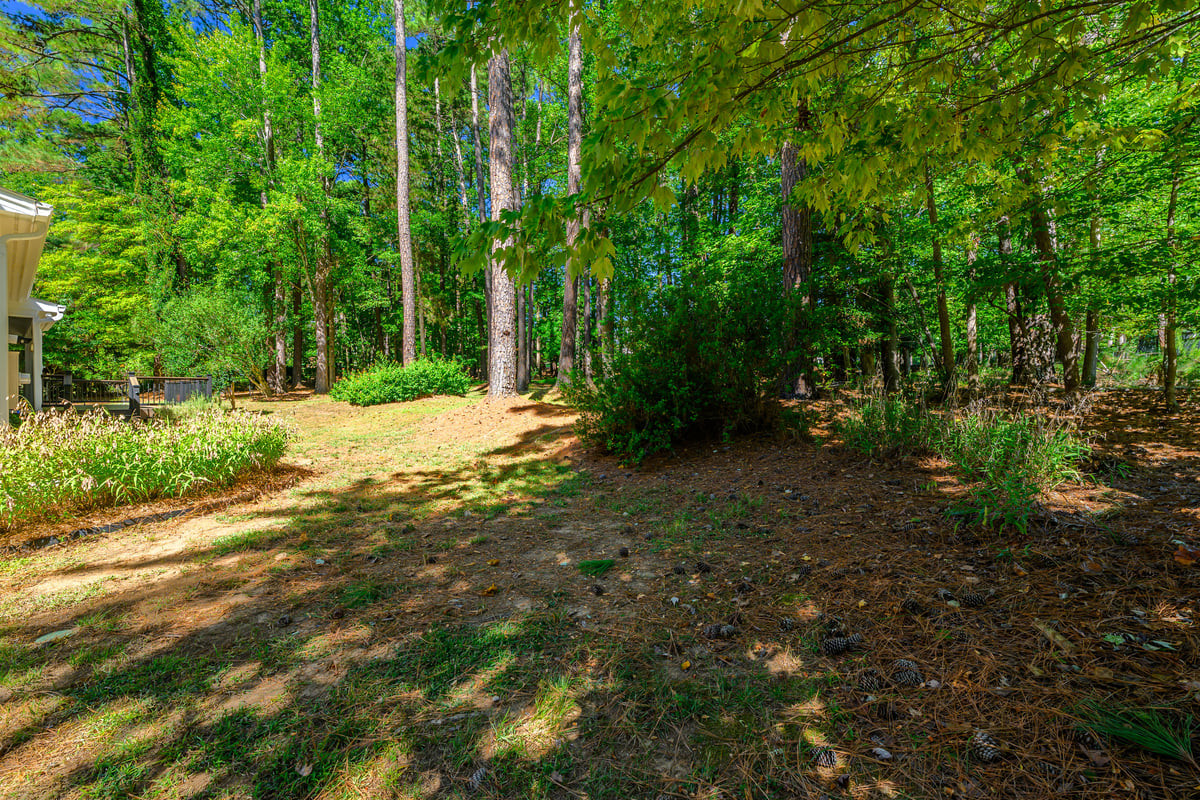 1008 Broken Sound Way Raleigh, NC 27614 - Photo 50 of 51 Mature wooded private back yard.