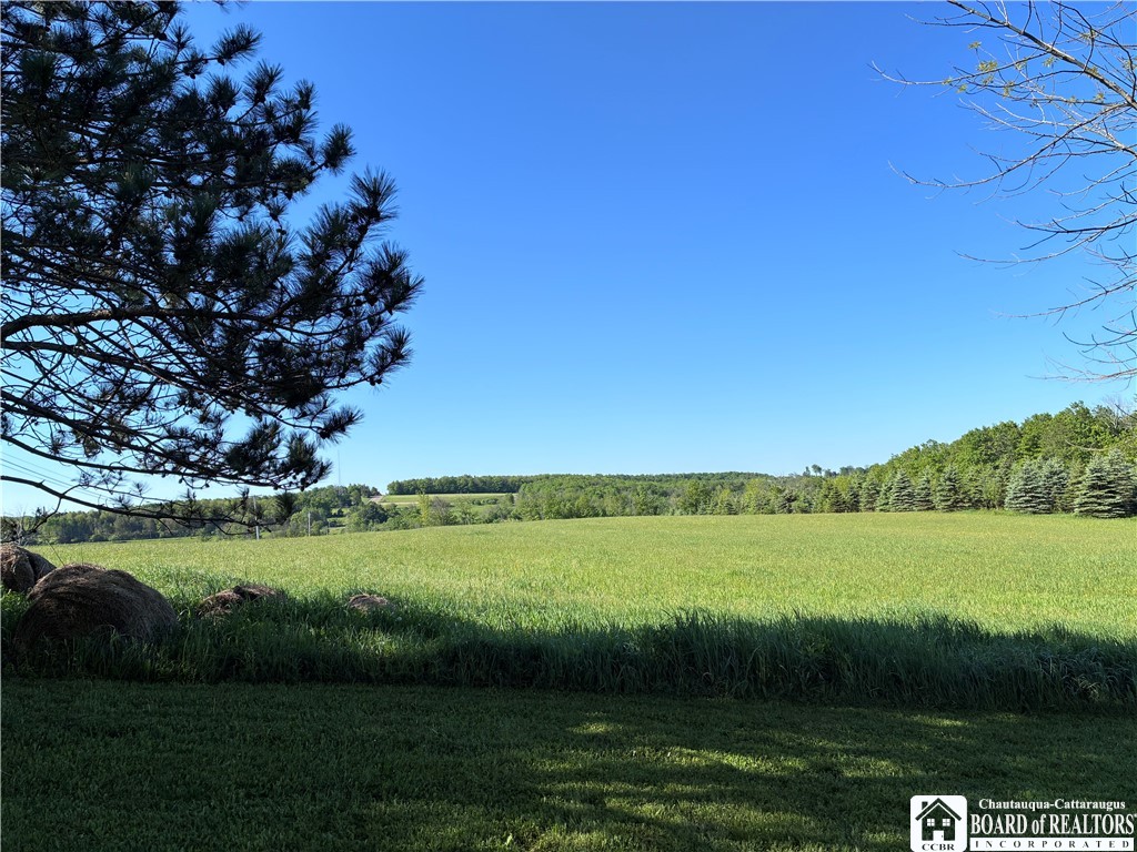 8905 Tug Hill Road Machias, NY 14101 - Photo 47 of 50