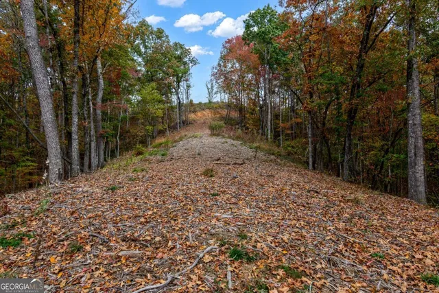 a view of a swimming pool with a yard and a mountain view
