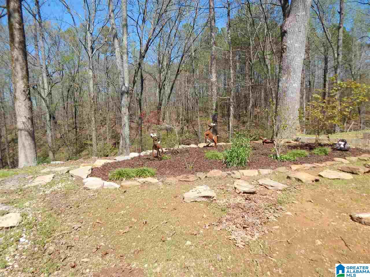 173 Tawbush Road Trafford, AL 35172 - Photo 46 of 50