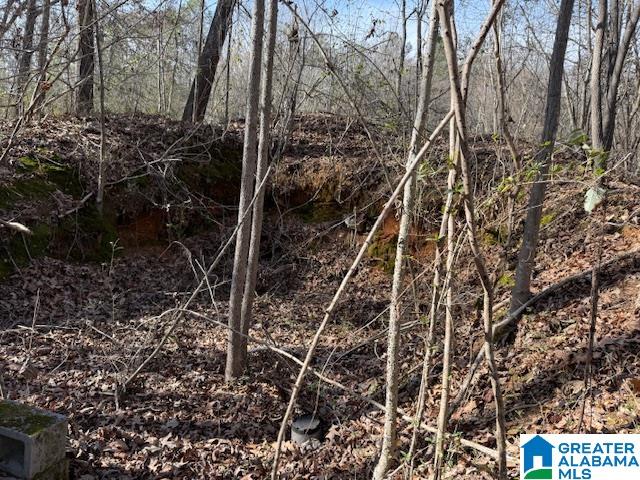2247 Lock 3 Road Ragland, AL 35131 - Photo 2 of 4