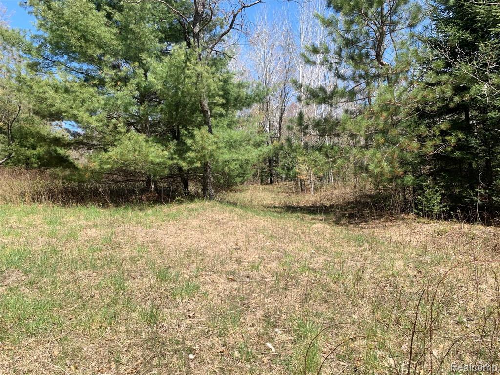 1 West Kneeland Road Mio, MI 48647 - Photo 3 of 16