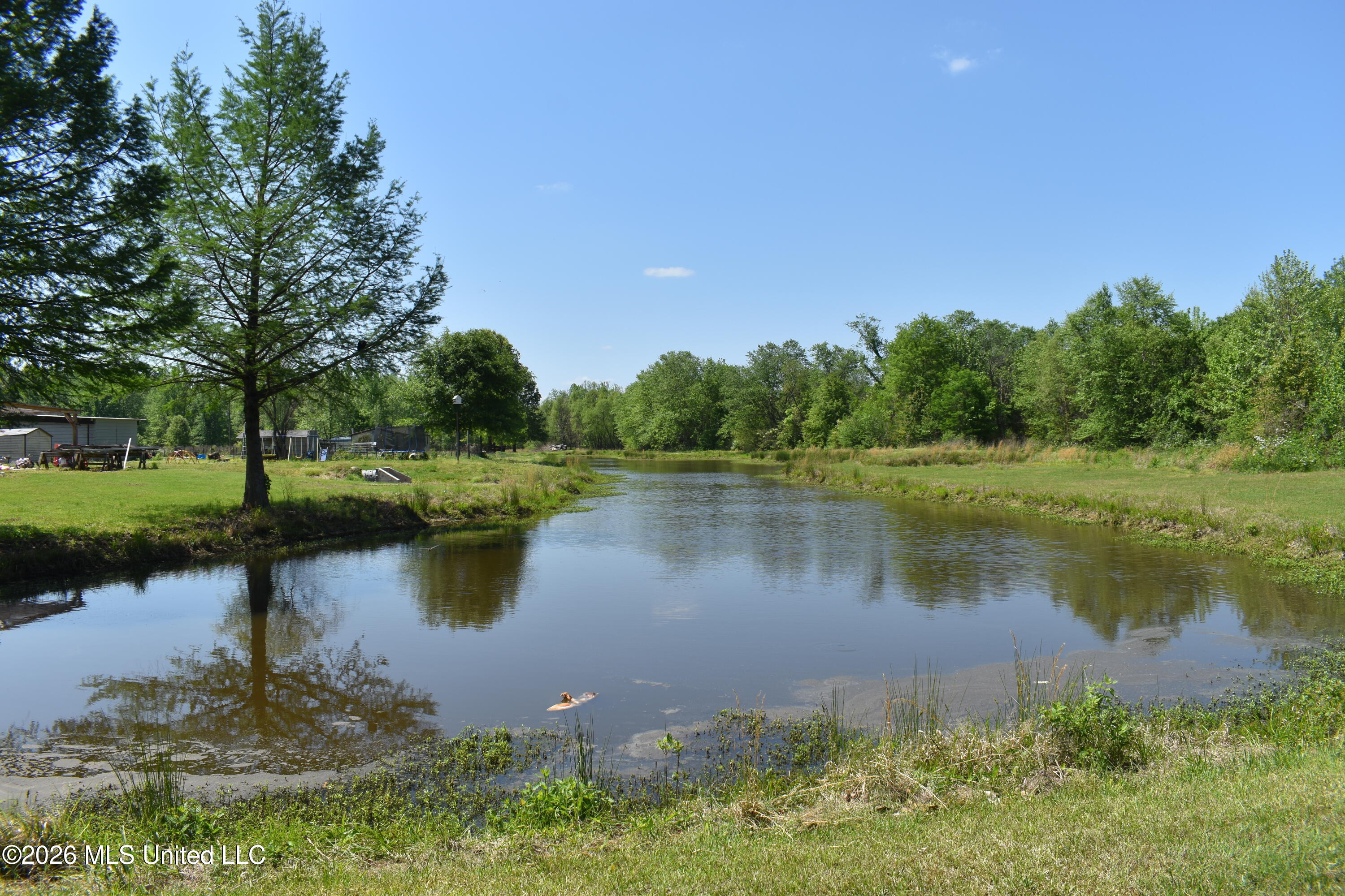 951 South Mt Zion Road Byhalia, MS 38611 - Photo 27 of 51 DSC_0020