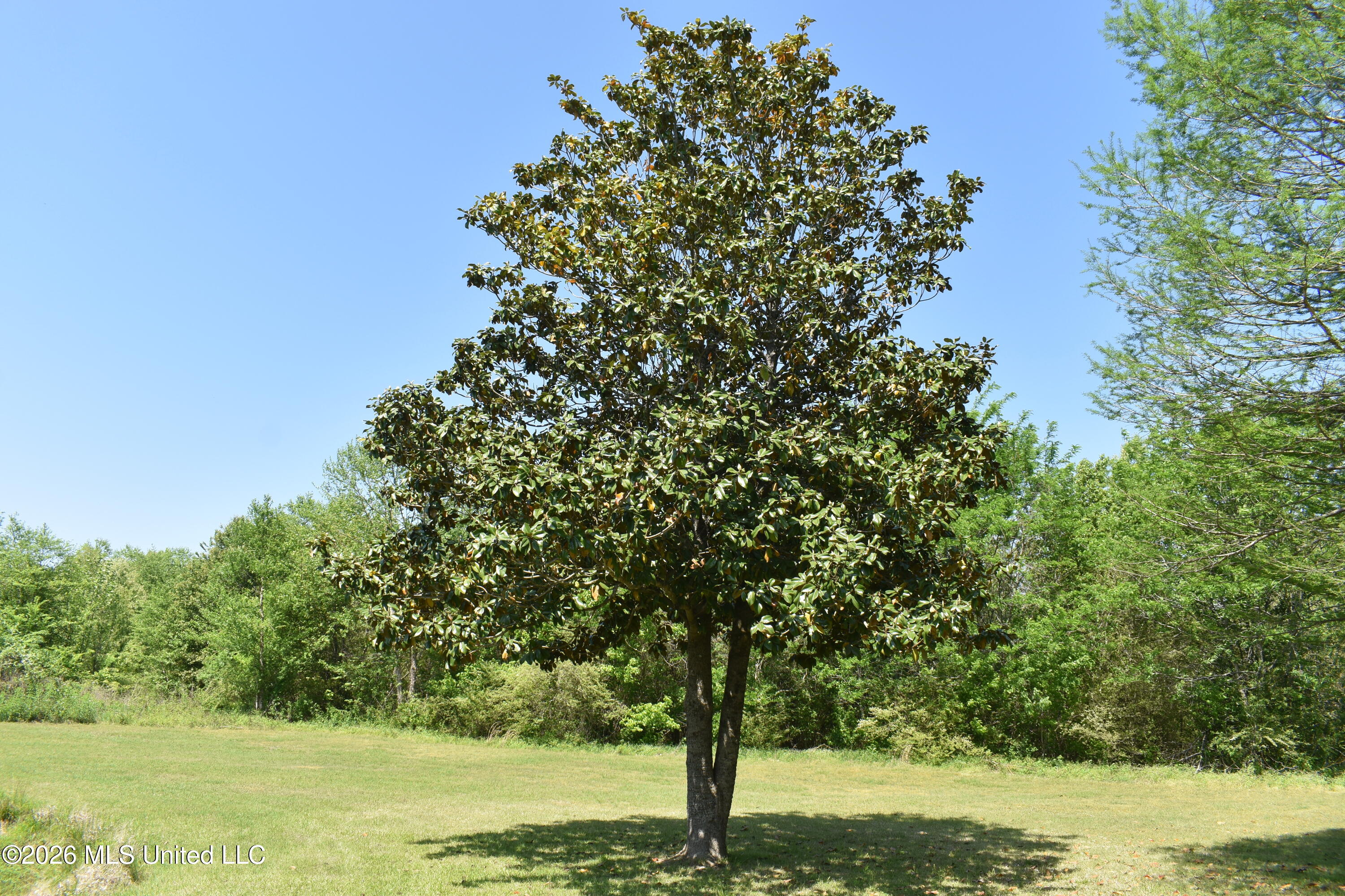 951 South Mt Zion Road Byhalia, MS 38611 - Photo 28 of 51 DSC_0021