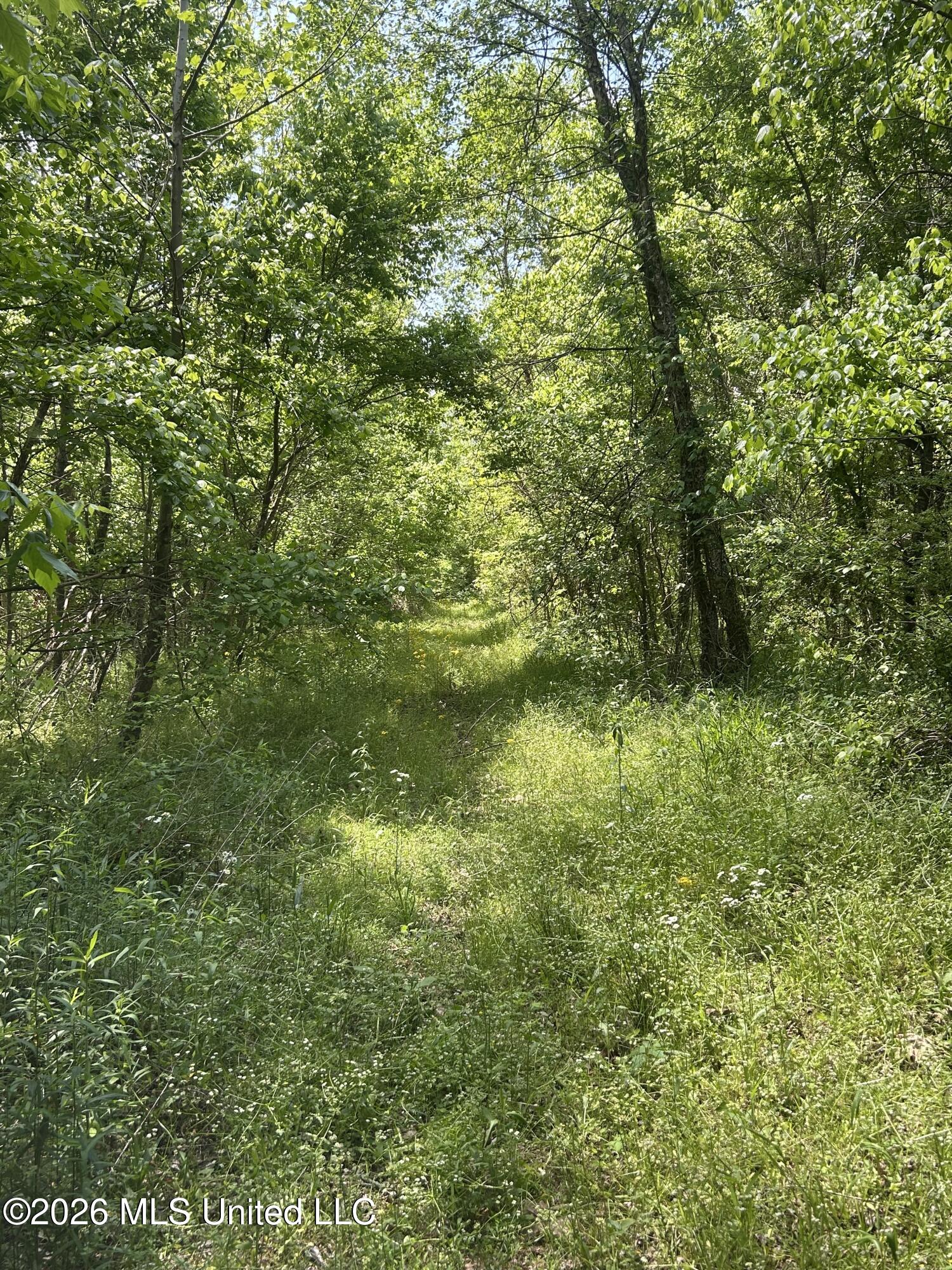 951 South Mt Zion Road Byhalia, MS 38611 - Photo 38 of 51 Mt zion 4