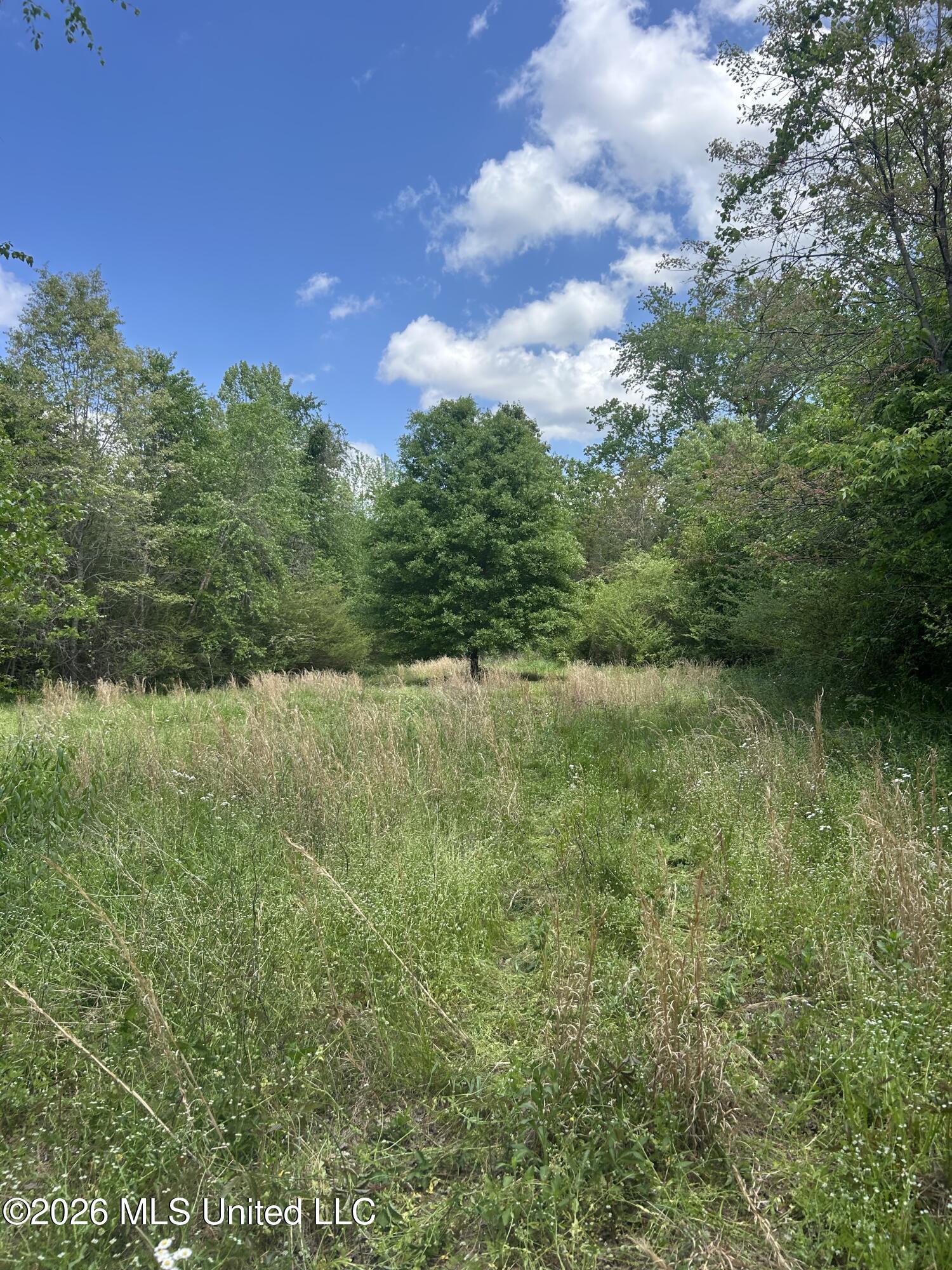 951 South Mt Zion Road Byhalia, MS 38611 - Photo 40 of 51 Mt Zion 6