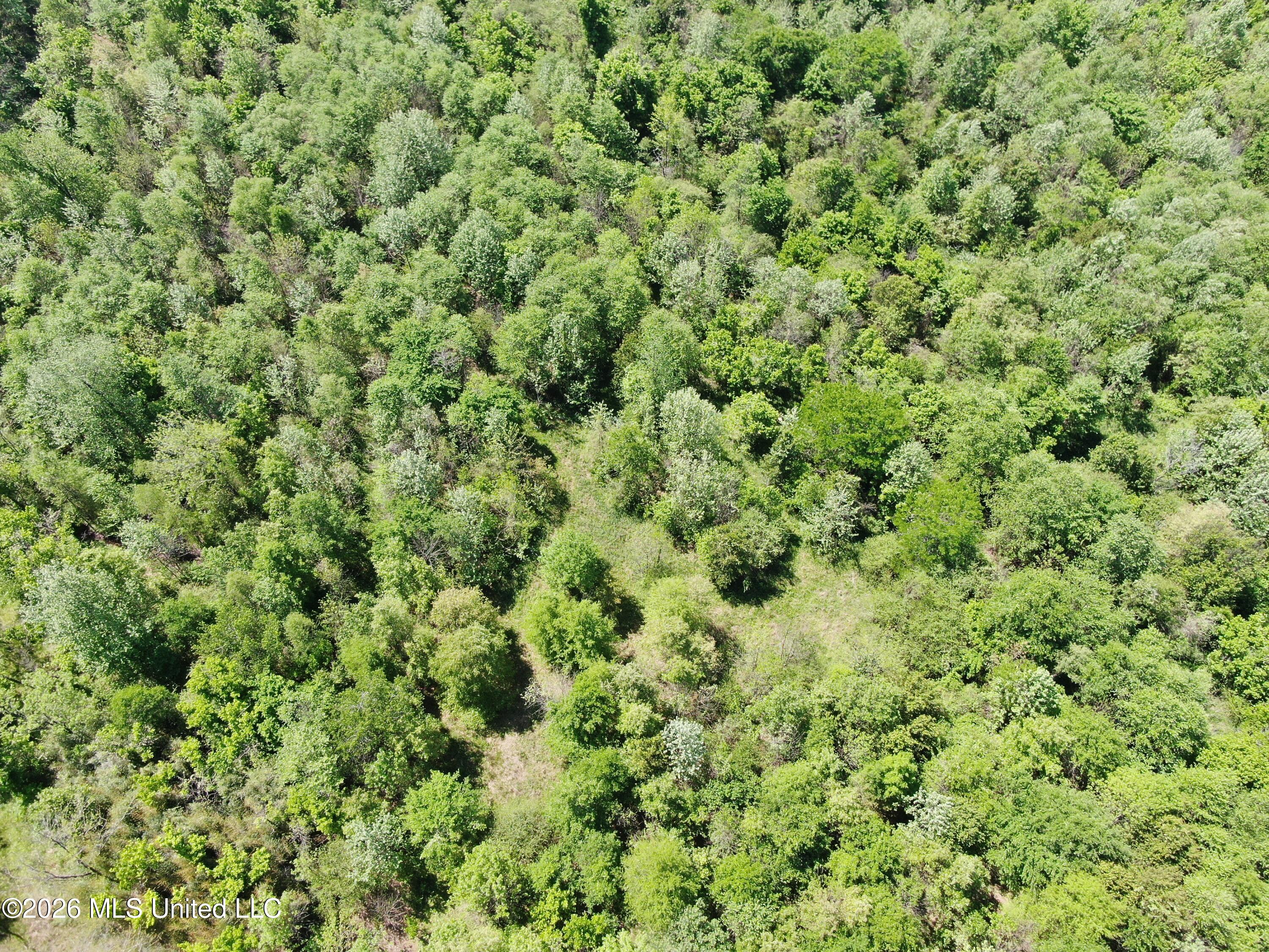 951 South Mt Zion Road Byhalia, MS 38611 - Photo 44 of 51 DJI_0970