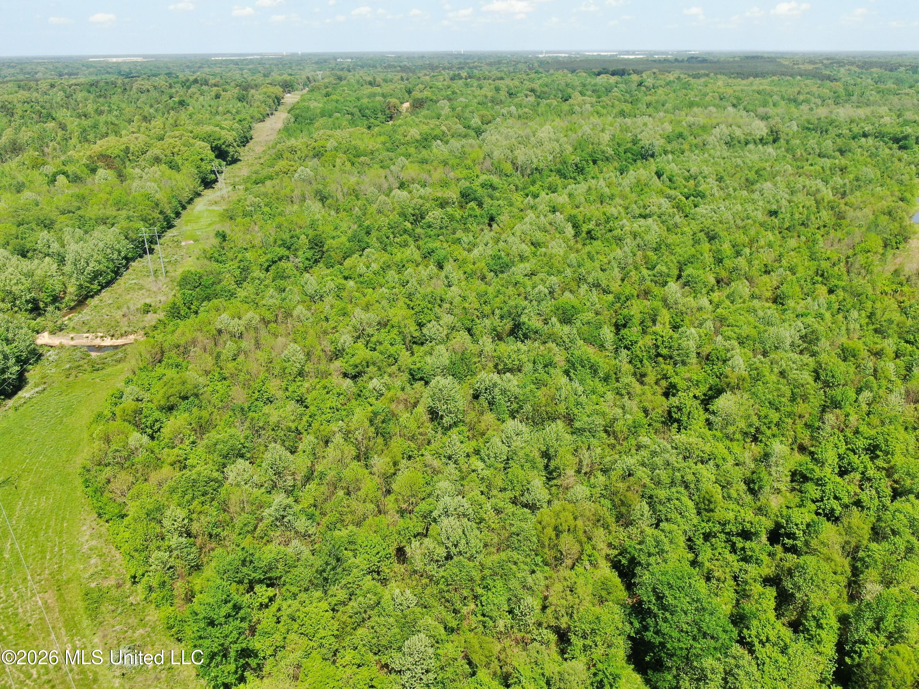 951 South Mt Zion Road Byhalia, MS 38611 - Photo 46 of 51 DJI_0972