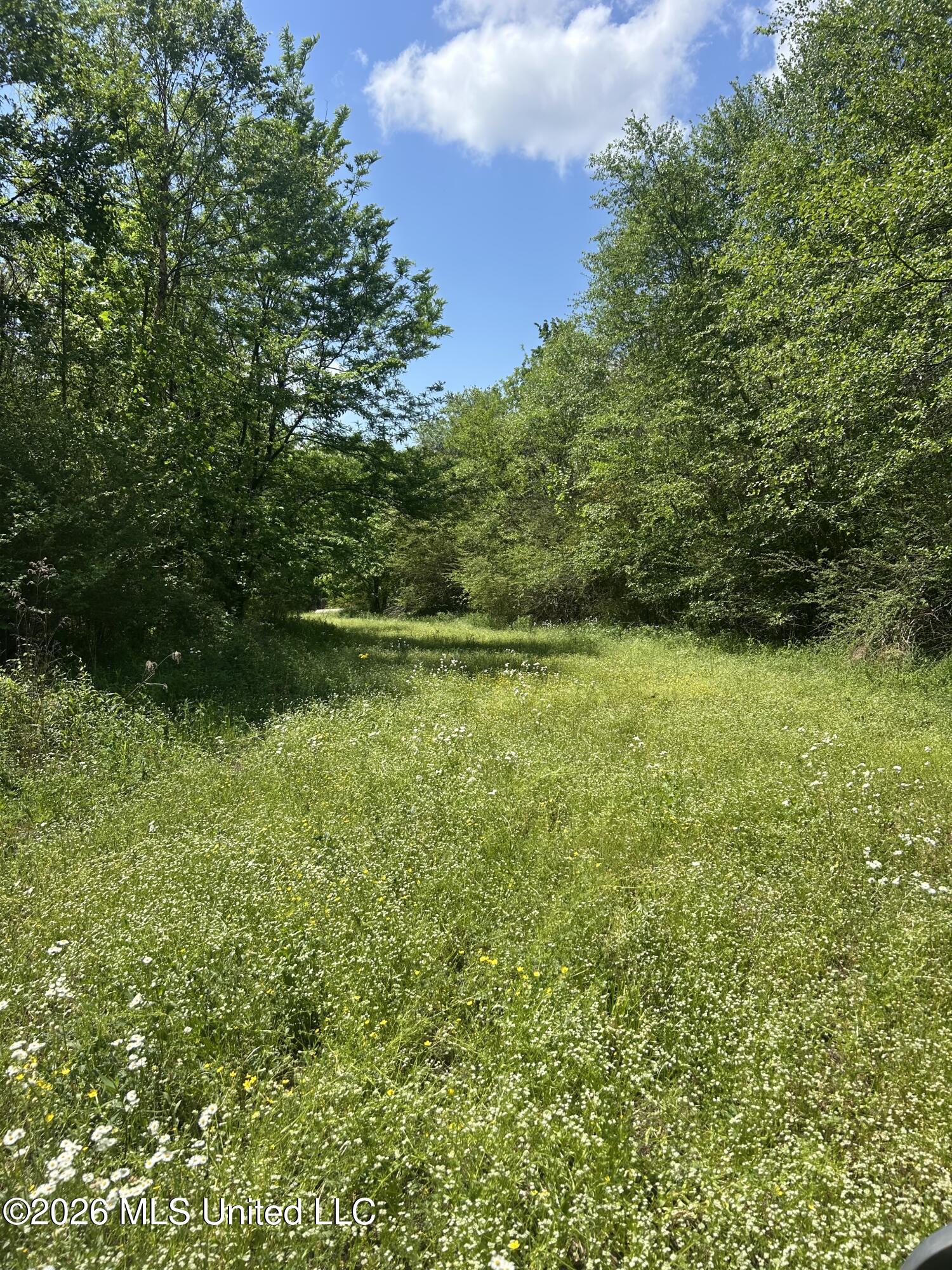 951 South Mt Zion Road Byhalia, MS 38611 - Photo 47 of 51 Mt zion 3