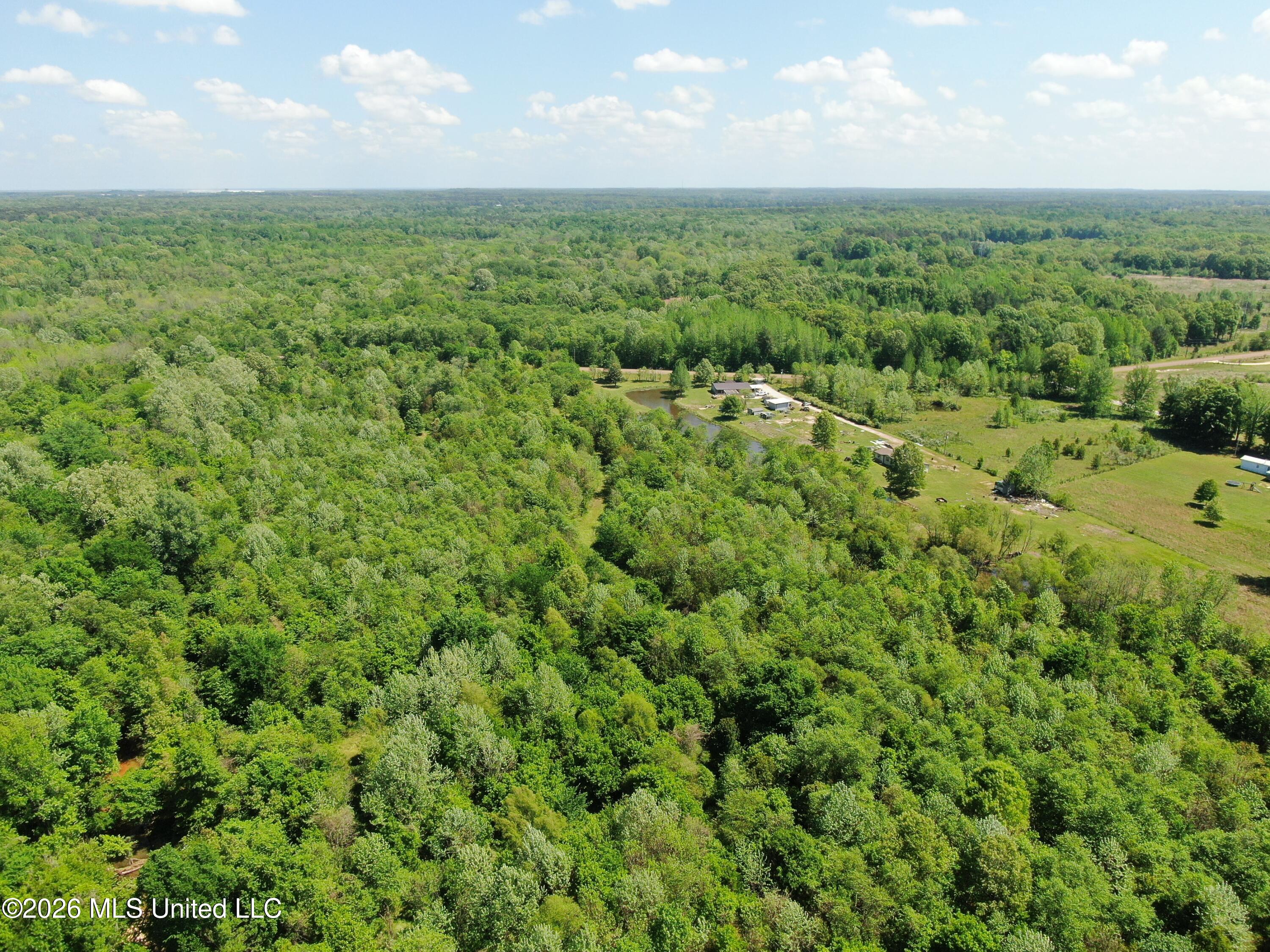 951 South Mt Zion Road Byhalia, MS 38611 - Photo 48 of 51 DJI_0975
