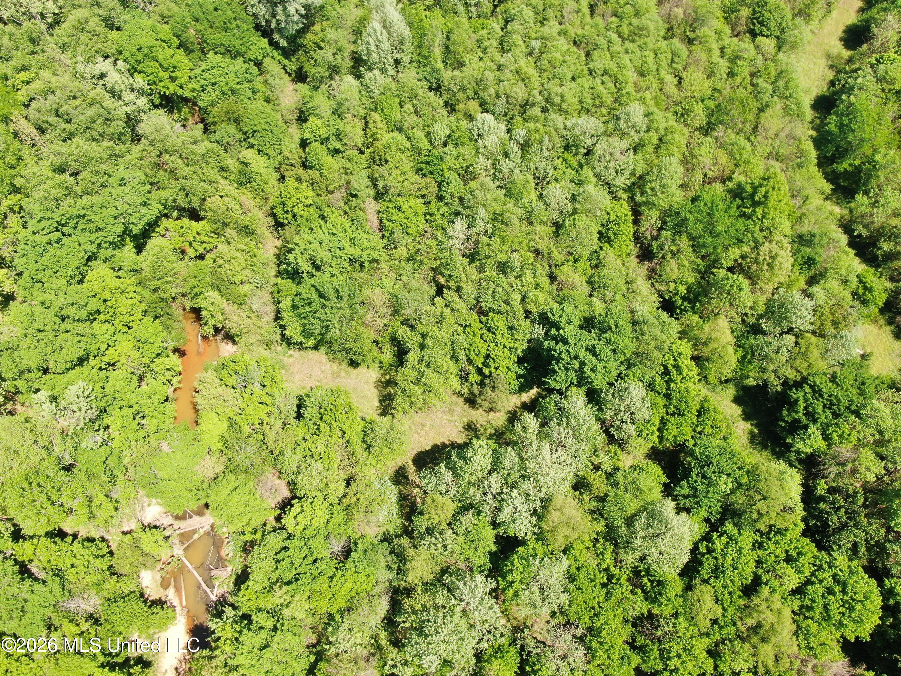 951 South Mt Zion Road Byhalia, MS 38611 - Photo 49 of 51 DJI_0976