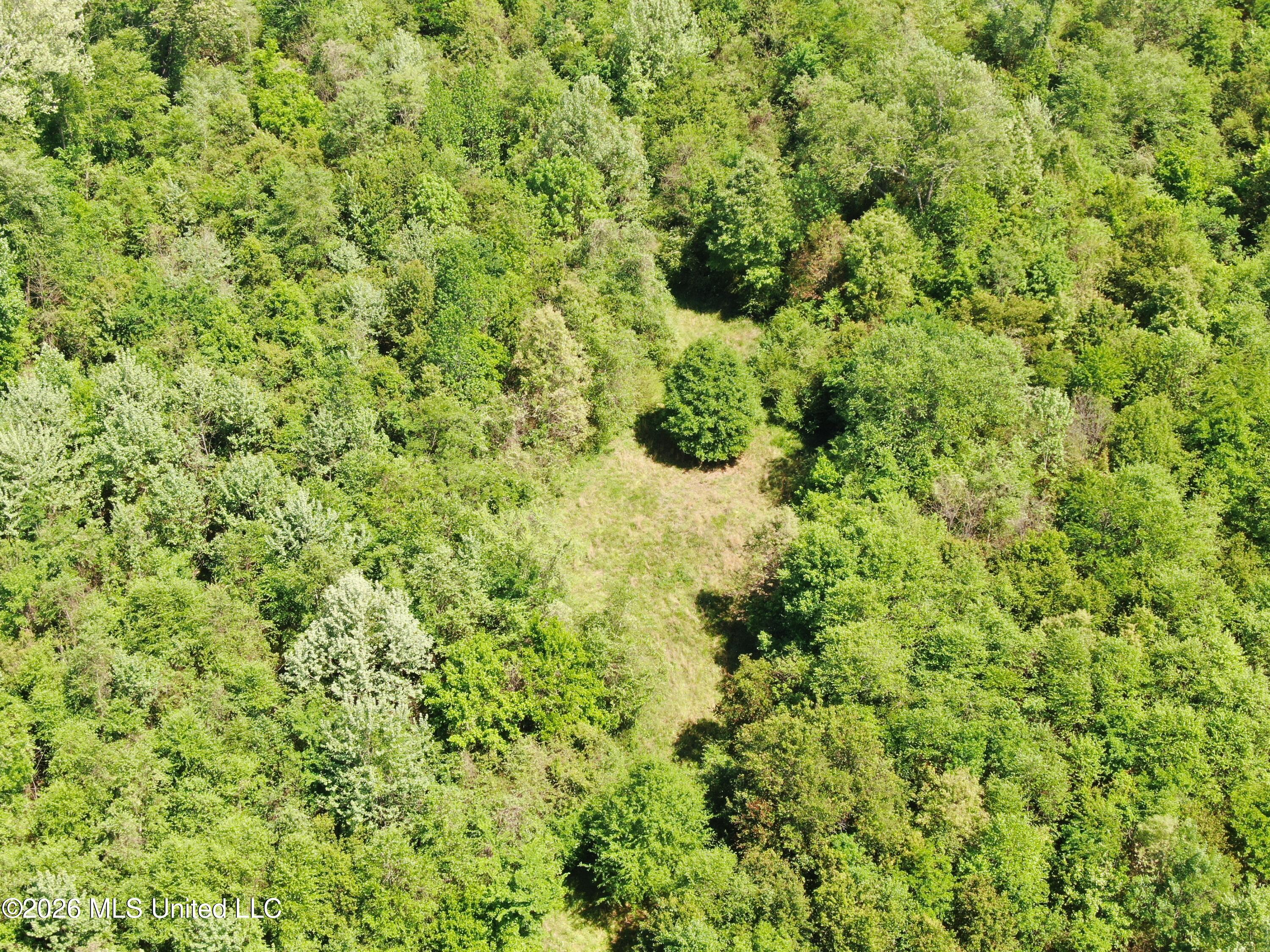 951 South Mt Zion Road Byhalia, MS 38611 - Photo 51 of 51 DJI_0979