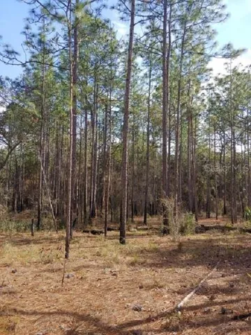 $3,655,860 | 0 Us 41 Highway, Floral City, FL 34436