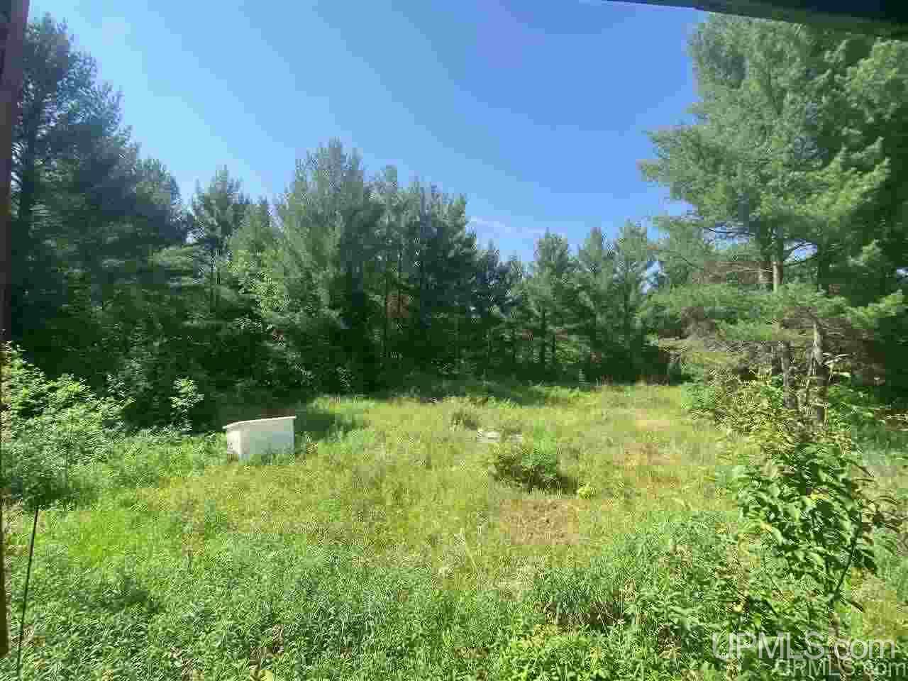 Tbd Tbd Rooni Lane Bessemer, MI 49911 - Photo 18 of 20