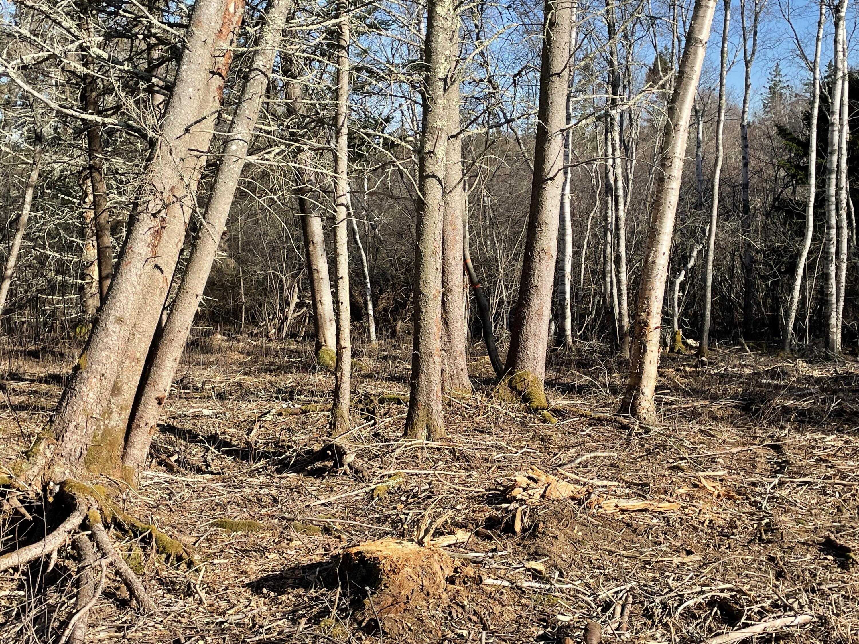 0 North Shore Road North Haven, ME 04853 - Photo 1 of 5 IMG_1468 3