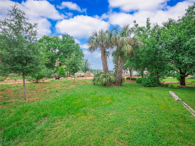 a view of a backyard with large trees