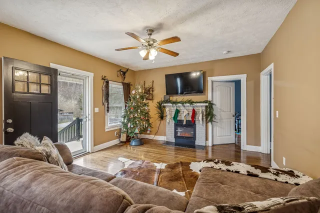 a living room with furniture and a potted plant